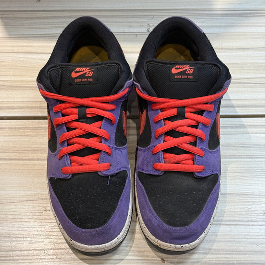 USED Nike SB Dunk Low ACG Terra