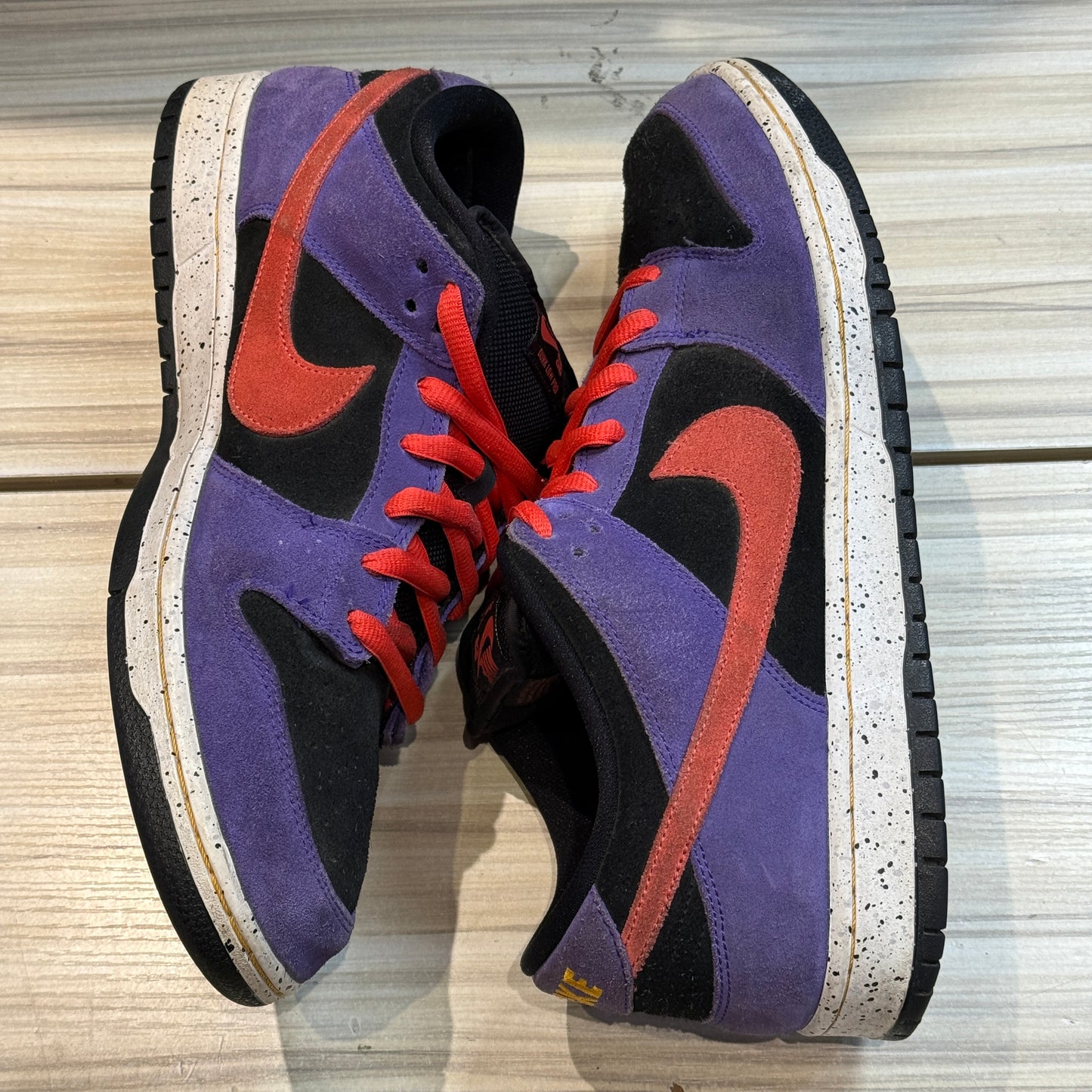 USED Nike SB Dunk Low ACG Terra